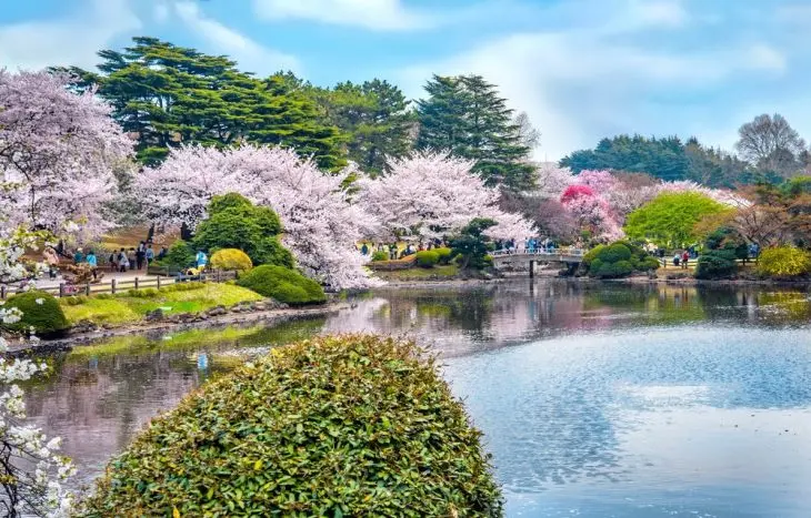 Discover Japan in Spring: 8 Destinations You Can’t Miss